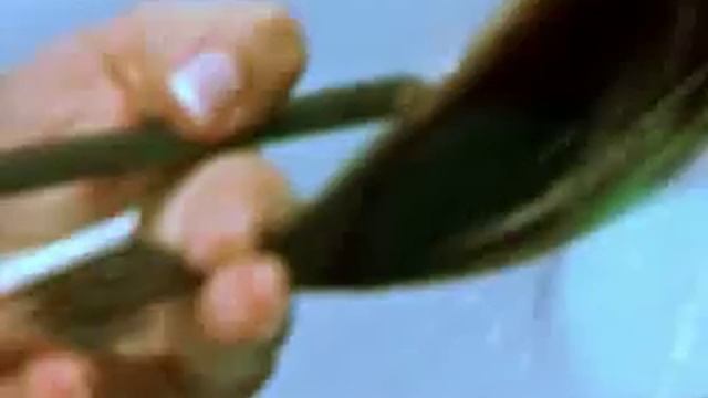 Got2b on lookatme. United Colours смотреть онлайн