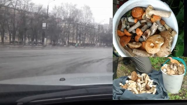 Стоит ли поменять город на деревню?! смотреть онлайн