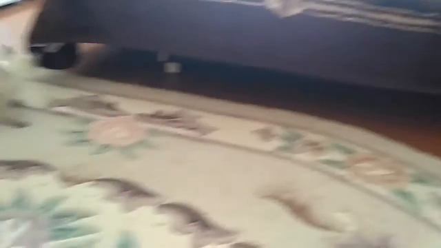 Соня и Сарен гоняются под диваном смотреть онлайн