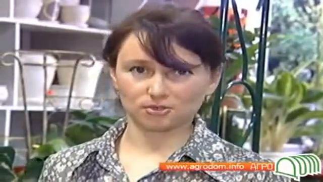 Семена тыквы, моркови смотреть онлайн