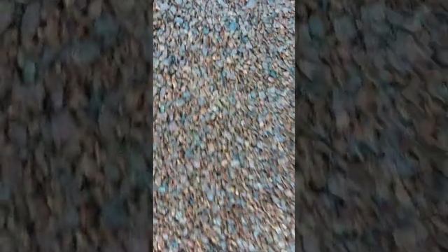 Каменный ковёр из гранитной крошки (часть 2) смотреть онлайн