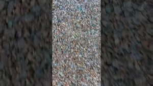 Каменный ковёр из гранитной крошки (часть 2)