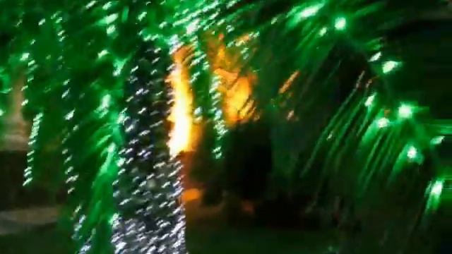 Мария Мерабела