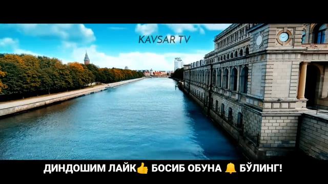 Икки хотинликка қарши аёллар эшитсин! ~Абдуллох Домла 2022~Abdulloh Domla 2022 #abdullohdomla