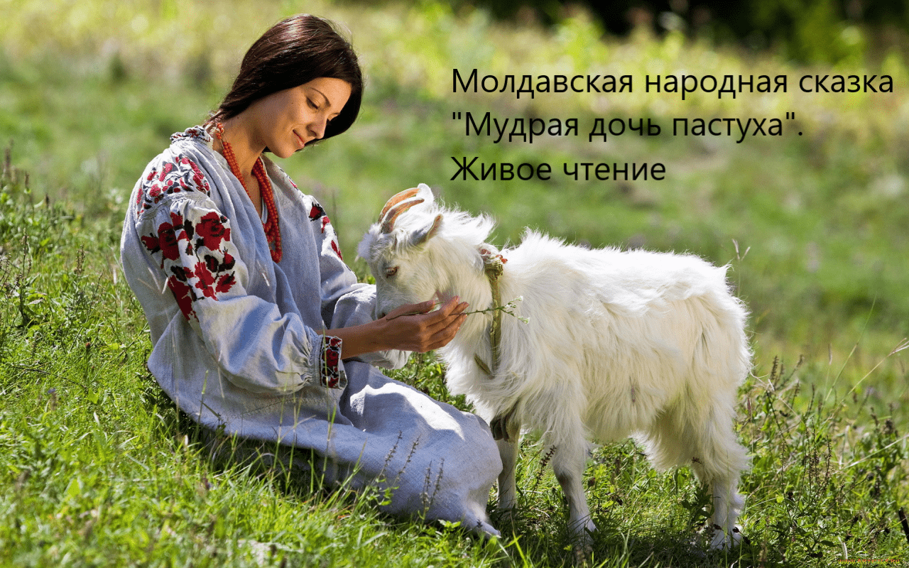 Молдавская народная сказка "Мудрая дочь пастуха". Живое чтение смотреть онлайн