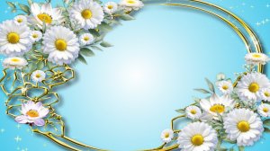 Ромашки цветочный футаж рамка голубой фон для текста. Футажи для видеомонтажа.
