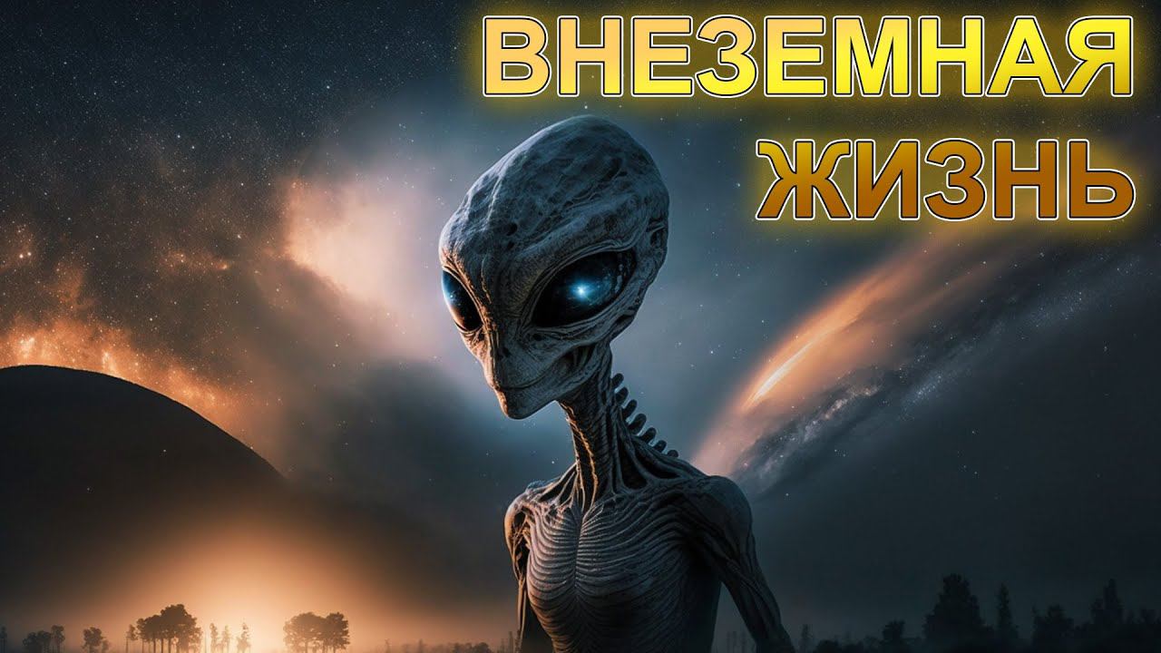 Жизнь за пределами Земли. Реддит. Общение