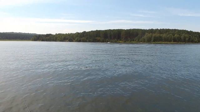 Крупная щука на OSP Asura Rudra. Вот это ЩУКА!!! Щука на щуку! смотреть онлайн