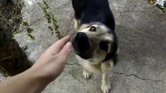 Многоречье