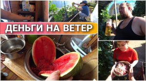 Ужас!!!Вот это нас надули/Обзор покупок и не только/Готовим мангал к шашлыку/Семейный влог/ПроЖизнь