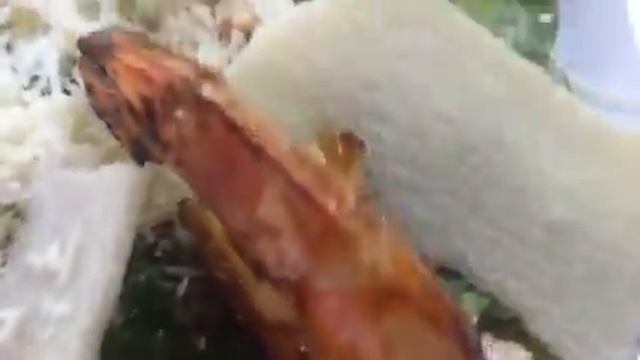 Цезарь с хрустящими креветками от # korekrest смотреть онлайн