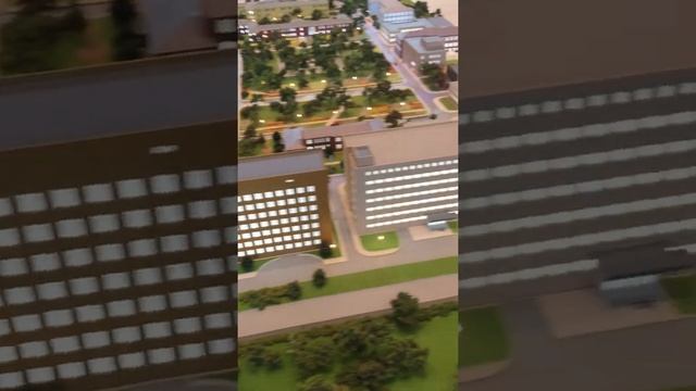 Макет Боткинской больницу смотреть онлайн