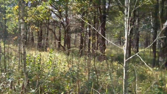 Деревни Покровка, Граборовка и Михайловка, Почепский район, Брянская область смотреть онлайн