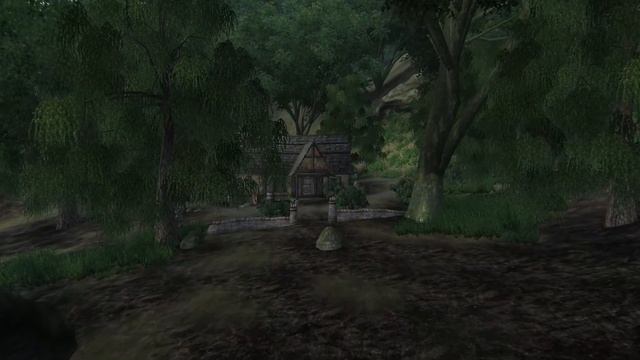 КВЕСТЫ КОТОРЫЕ ВЫ МОГЛИ ПРОПУСТИТЬ В OBLIVION | СЕКРЕТЫ The Elder Scrolls IV: Oblivion смотреть онлайн