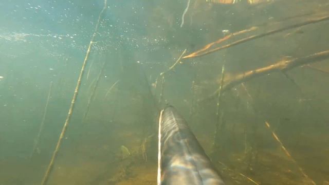 Подводная охота 2022г. Река Дон. смотреть онлайн