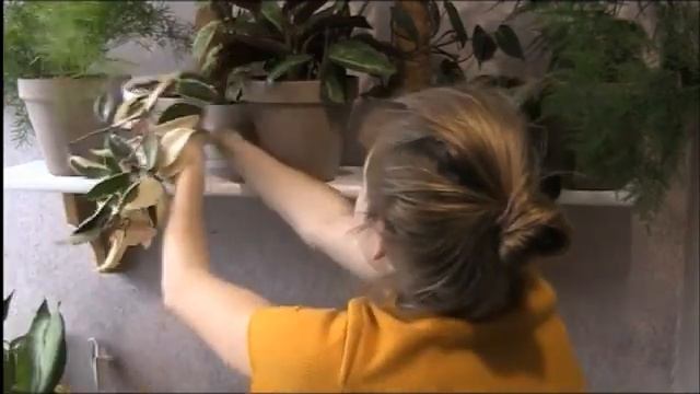 Новые Полки для цветов!НАКОНЕЦ-ТО!!!Организация цветочного пространства.16 вазонов ближе к солнцу смотреть онлайн