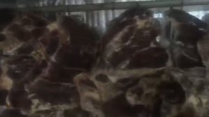 Как сушить мясо