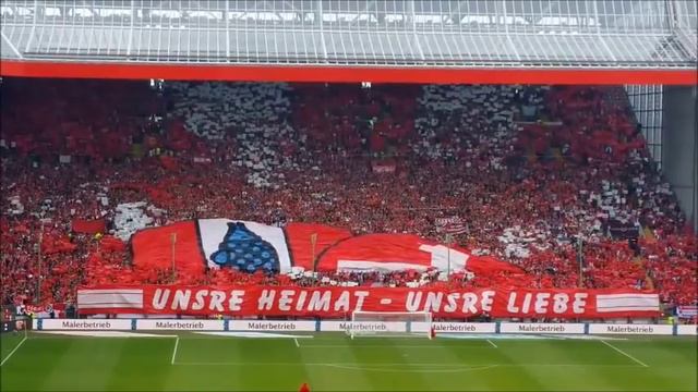 Anti RB, oRBan du Verräter! смотреть онлайн