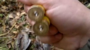 20 калибр, вот и вальдшнеп) выход№9