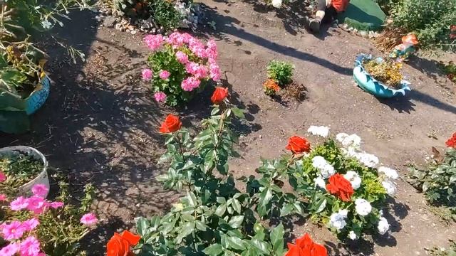 Ура! Нас пока 7000 ! Маленькие закрутки.Обычный день в деревне. смотреть онлайн