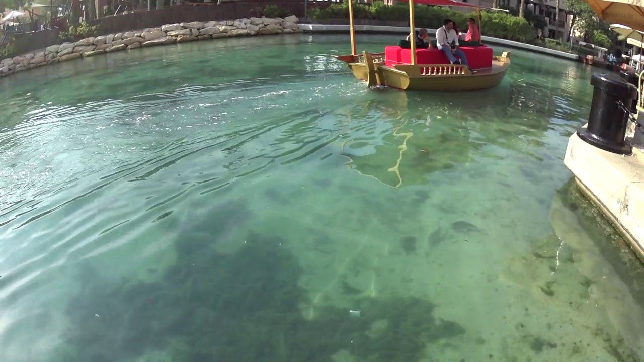 Рыбы в Дубае, ОАЭ смотреть онлайн