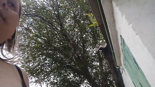 мини рум тур круто или нет решать вам смотреть онлайн