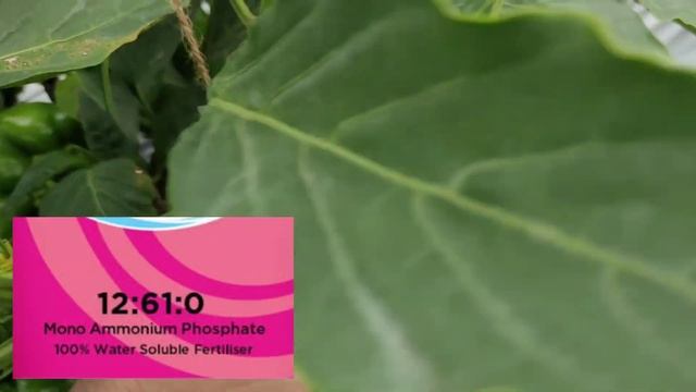 12.61.0 खताचे फायदे / 12.61.0 khatache fayde / 12.61.0 fertilizer use Marathi смотреть онлайн