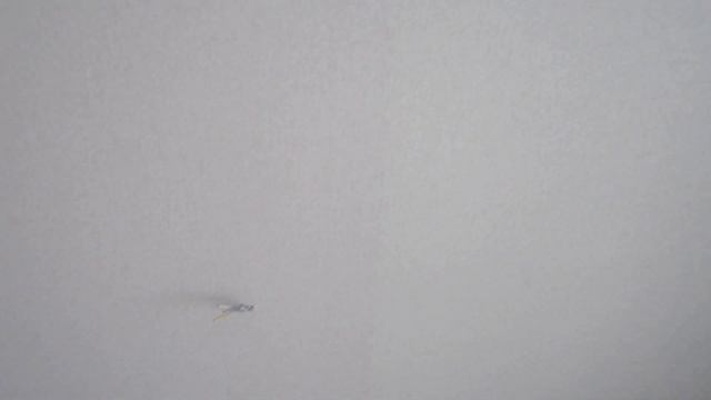 ЖК Суворовский Ростов на Дону, литер №29 часть 3