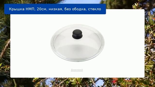 Крышка НМП, 20см, низкая, без ободка, стекло обзор смотреть онлайн
