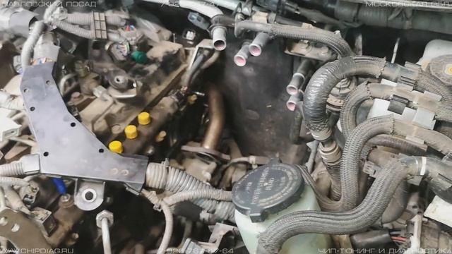 LandCruiser Prado 2.8 - ЕГР, Сажевый, Вихревые заслонки, Чип 225 сил смотреть онлайн