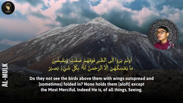 Surah Rahman, Yaseen, Mulk, Waqiah - 24 Hours Most Relaxing Quran Recitation | Calming Alquran