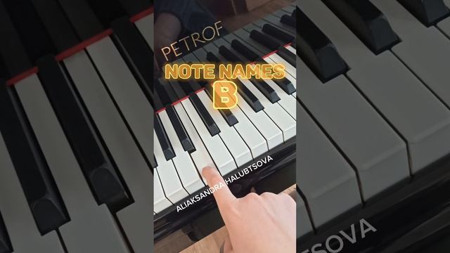 ✭ note names Music musical alphabet ✭ piano keys ✭ piano playing ✭ piano keyboard ✭ academy of musi смотреть онлайн
