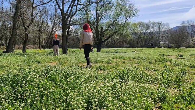 Анапа, Сукко, Новороссийск, Архипо-Осиповка смотреть онлайн