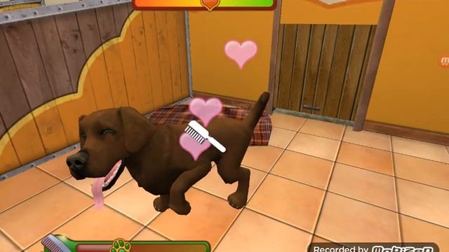 Игра PetWorld. Знакомство с игрой смотреть онлайн