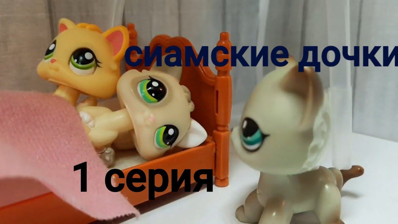Lps сериал ( сиамские дочки ) серия 1 смотреть онлайн