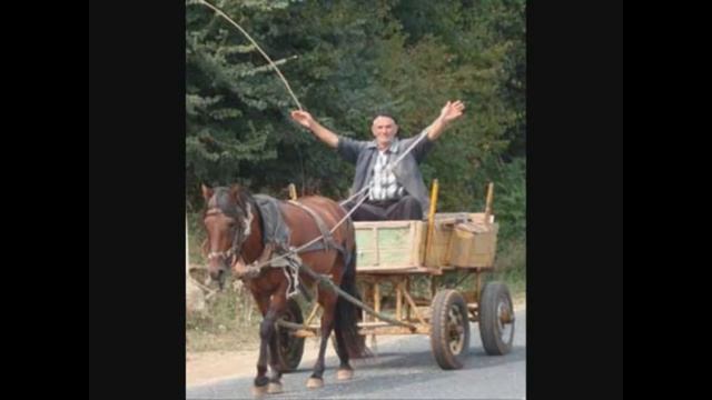 Попа-Куцо Магаре смотреть онлайн