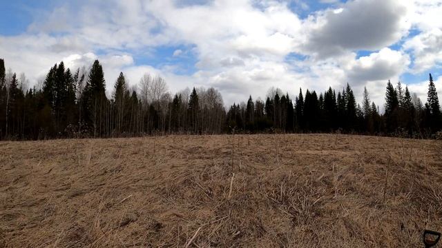 В поисках с металлоискателем. смотреть онлайн