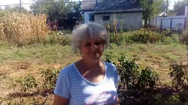 Елена Паршина - В Ханской река серебрится смотреть онлайн