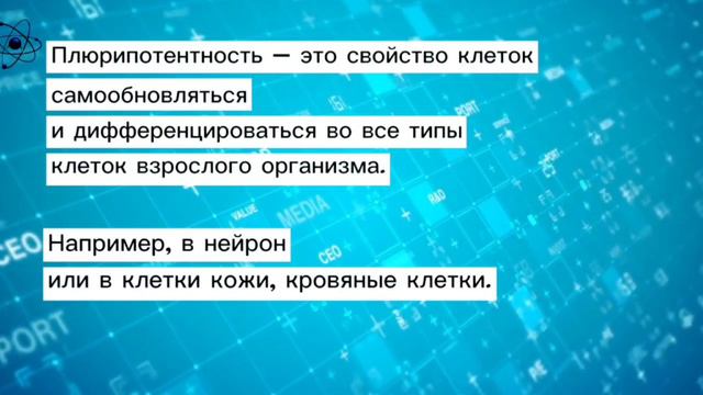 Перевод с научного смотреть онлайн