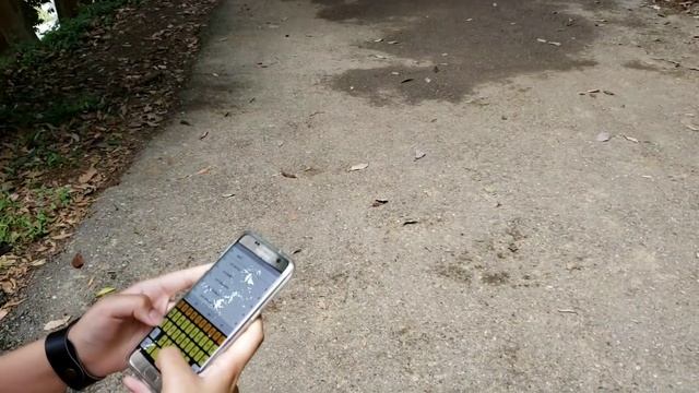 Путешествия в Грузию г Батуми зеленый мыс. смотреть онлайн