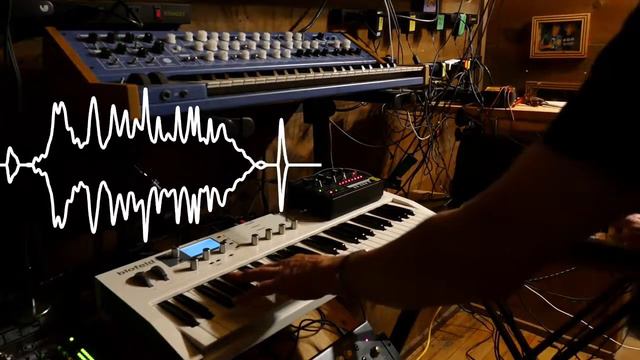 Waldorf Blofeld Custom ARP patch C122 "21 XPloit" and friends смотреть онлайн