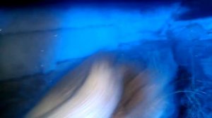 Киа Рио 4 Снятие защиты и замена масла