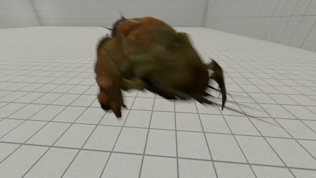 Краб синтет виды анимации в (SFM) смотреть онлайн