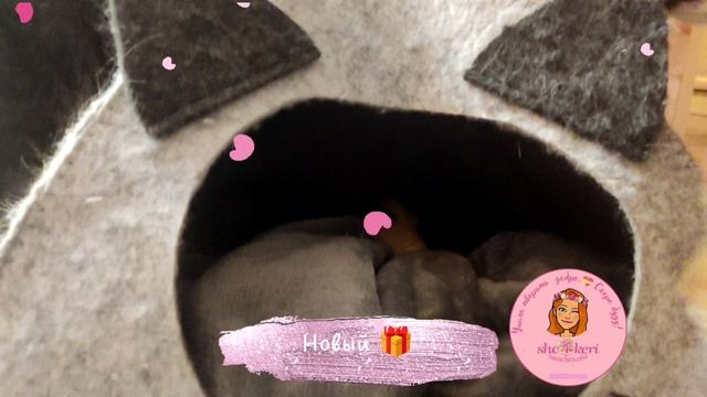 💓Мир розового света💓