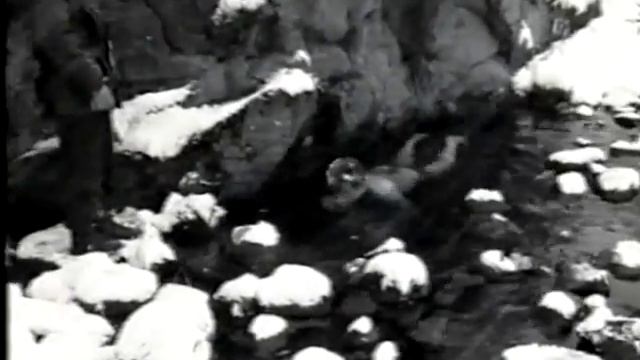 Ванк27031997г.mpg смотреть онлайн