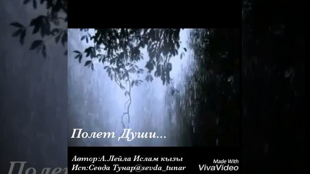 Полёт души.../Автор:А.Лейла Ислам кызы/Исп:Sevda Tunar/inst:@sevda_tunar смотреть онлайн