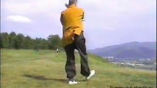 5 зверей / Wuxing