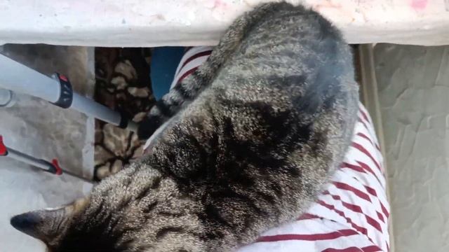 ЖАЛКО НА НИХ СТАВИТЬ СКОВОРОДКУ | ПОДСТАВКИ ПОД ГОРЯЧЕЕ | МАСТЕР КЛАСС смотреть онлайн