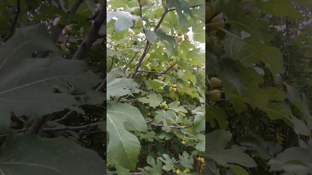 12 сентября 2022 г. смотреть онлайн