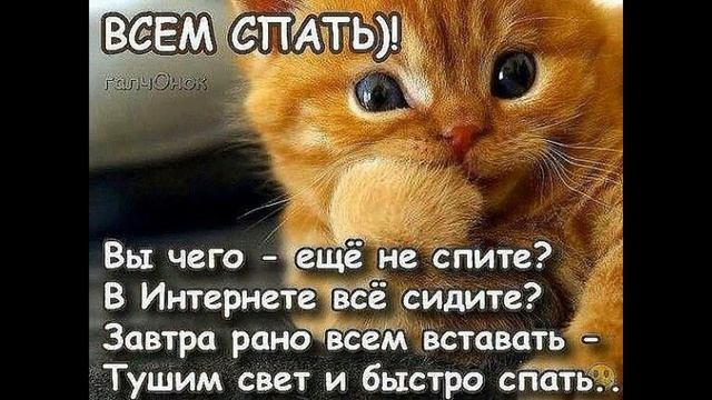 Спокойной ночи сладких снов ! Красивое пожелание доброй ночи, сладких снов! Музыкальная открытка смотреть онлайн